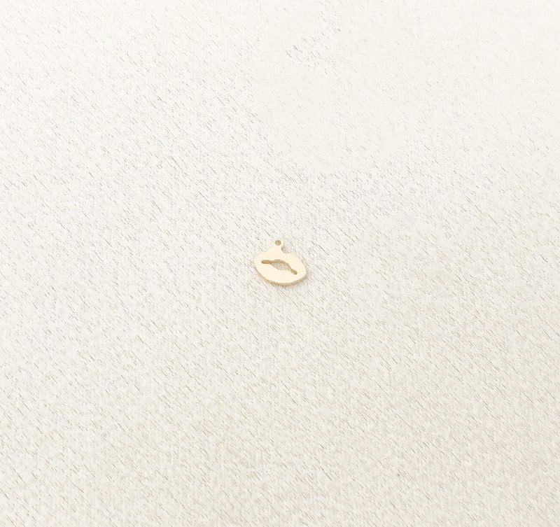 lips charm