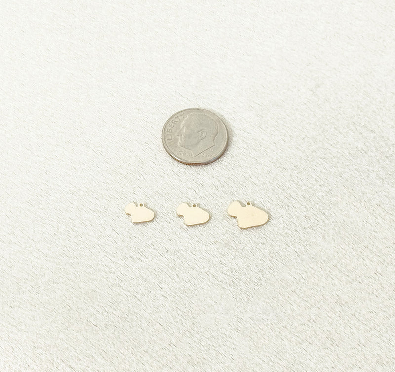maui charm size comparison