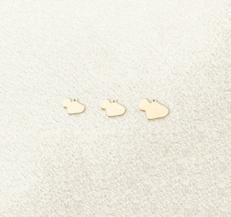 maui charm